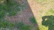 IMG20220413145313.jpg