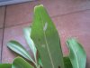Dscn0835_1024.jpg
