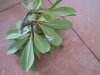 Dscn0834_1024.jpg