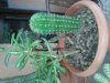 20130622_113506.jpg