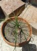 20130621_133842.jpg