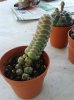 20130621_133913.jpg