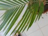 DSCN0404.jpg