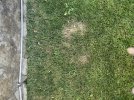 F3A13322-D249-4F43-8251-0DDF0B178647.jpeg