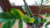100_1494.jpg