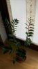 100_1496.jpg