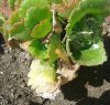 20130701_100828.jpg 20130701_100828.jpg