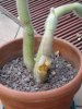 DSCN0082.jpg
