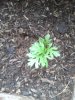 2013-07-03 19.35.30.jpg