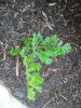 2013-07-03 19.35.22.jpg
