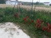 20130703_203837.jpg