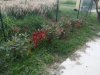 20130703_203840.jpg