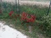 20130703_203835.jpg
