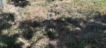 Resizer_16529703705769.jpeg