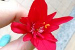 IMG_20220514_160910.jpg