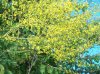 100_0221..jpg
