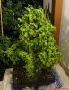 DSC01085.jpg