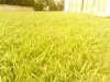 IMG_20130717_175541.jpg