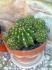 Foto0478.jpg