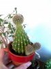 Foto0480.jpg