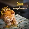 buon-compleanno-al-gatto-7.jpg