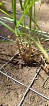 IMG_20220825_132640.jpg