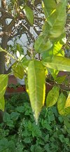 IMG_20220830_091758.jpg