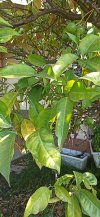 IMG_20220830_091813.jpg