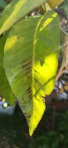 IMG_20220830_091830.jpg