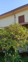IMG_20220830_091859.jpg