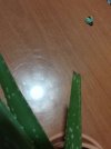 20220924_204836-min-min.jpg