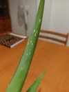 20220924_204726-min-min (1).jpg