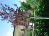 2013-07-22 16.50.22.jpg