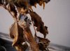 DSC03295.jpg