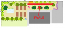 SWALE plant rd 2.png