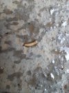 IMG_20221110_132908_454.jpg