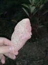 IMG_20221020_182016.jpg