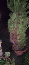 IMG_20221203_193444.jpg