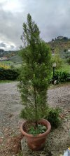 IMG_20221204_125452.jpg