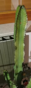 IMG_20221222_220259.jpg