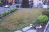 ImageUploadedByTapatalk1374876553.878246.jpg