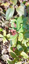 IMG-20230312-WA0025.jpg