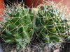 DSCN3056.jpg