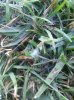 20130802_073443_6.jpg