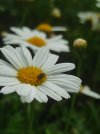 IMG_20230425_172253.jpg