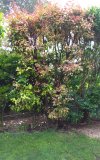 20230429_082326.jpg 20230429_082326.jpg