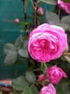 Compress_20230512_182627_7001.jpg