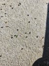 20230528_085245.jpg