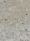 20230528_101009.jpg