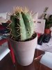 20130804_164422.jpg